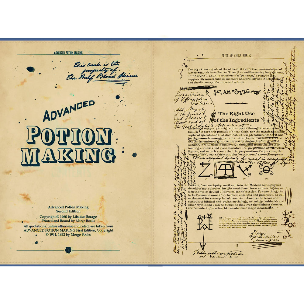 
                      
                        Advanced Potion Making reMarkable 2 Folio Case
                      
                    