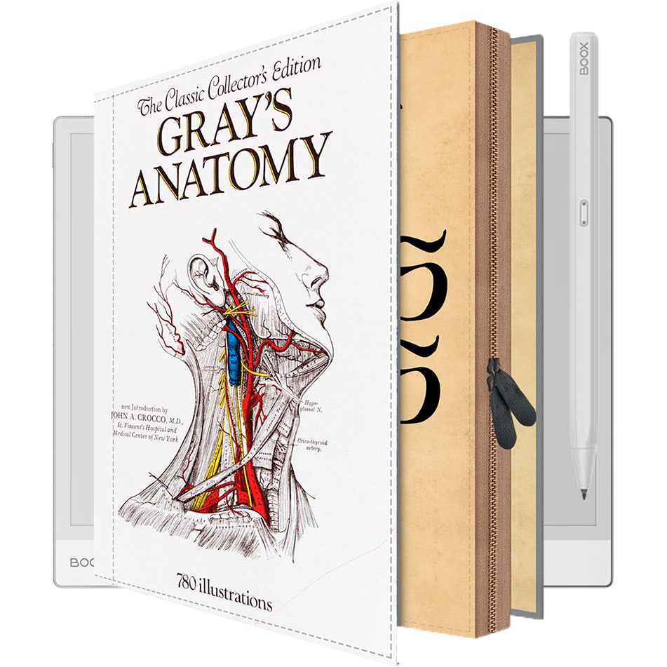 GRAY'S ANATOMY Onyx Boox Go 10,3-Zoll-Hülle