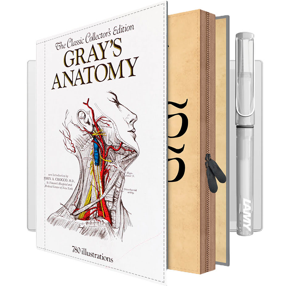 GRAY'S ANATOMY Supernote A5 X2 Manta Hülle