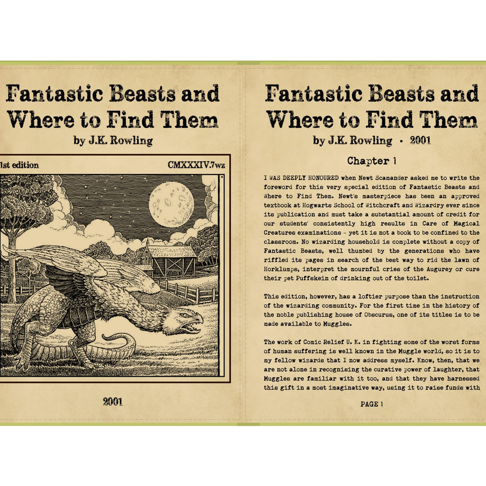 
                      
                        Onyx Boox Tab X C Case FANTASTIC BEASTS AND WHERE TO FIND THEM
                      
                    