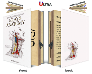 
                  
                    Gray's Anatomy Kindle Paperwhite Case
                  
                