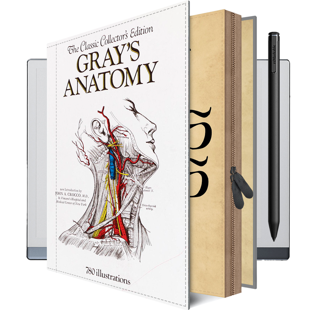Gray's Anatomy reMarkable Case