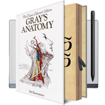 Gray's Anatomy reMarkable Case