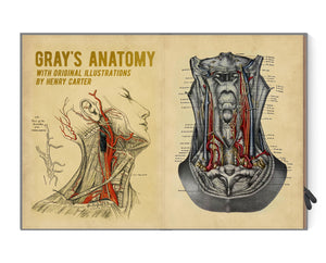 
                  
                    Gray's Anatomy iPad Case
                  
                