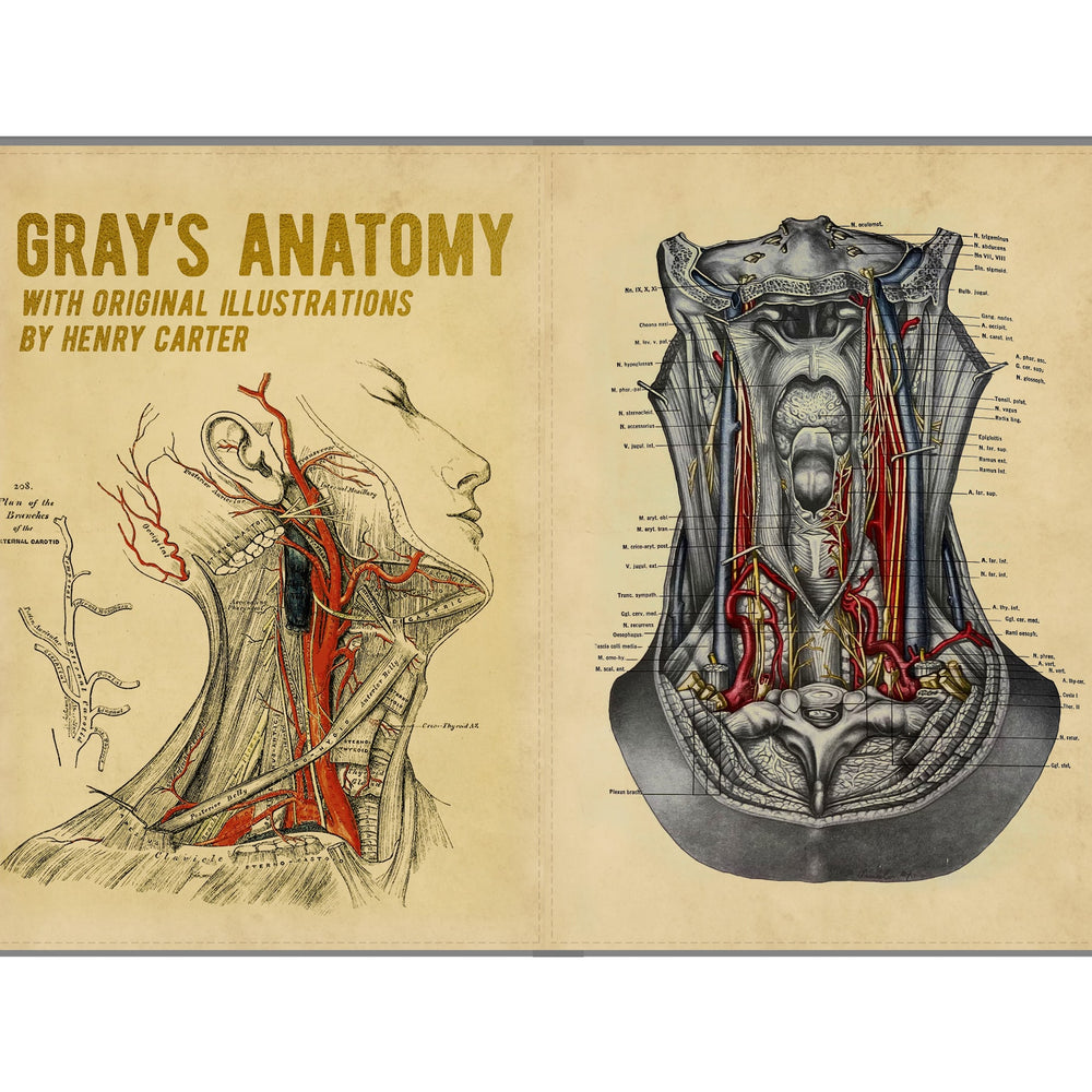 
                      
                        Gray's Anatomy Kindle Paperwhite Case
                      
                    