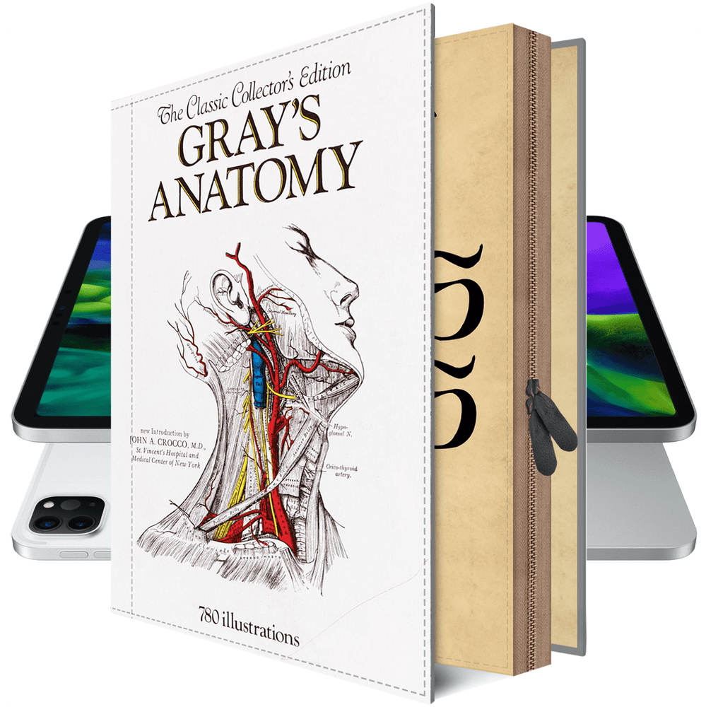 Gray's Anatomy iPad Case