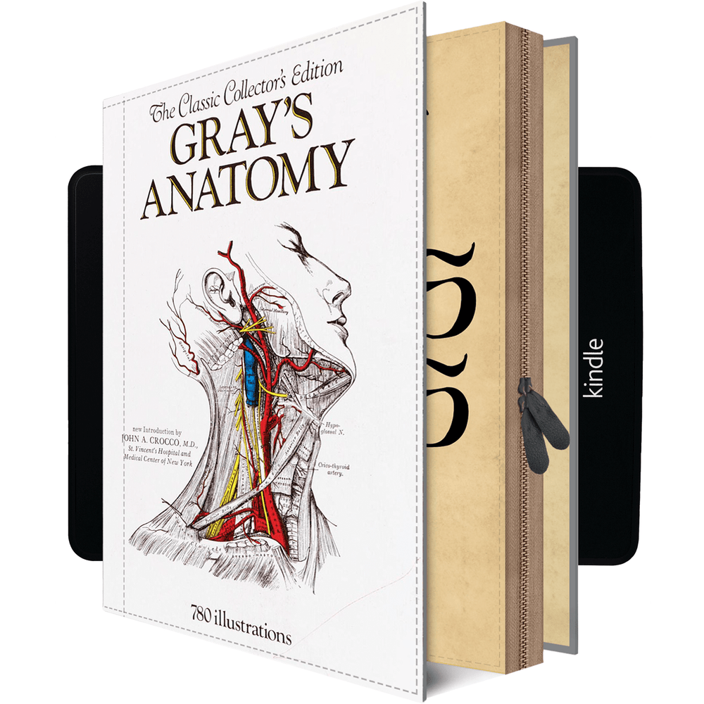 
                      
                        Gray's Anatomy Kindle Paperwhite Case
                      
                    