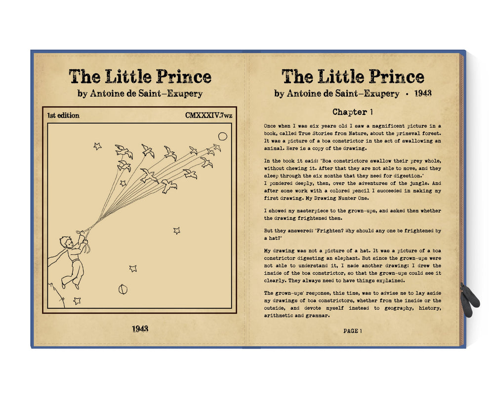 
                  
                    LITTLE PRINCE Dell XPS 14 Laptop Case
                  
                