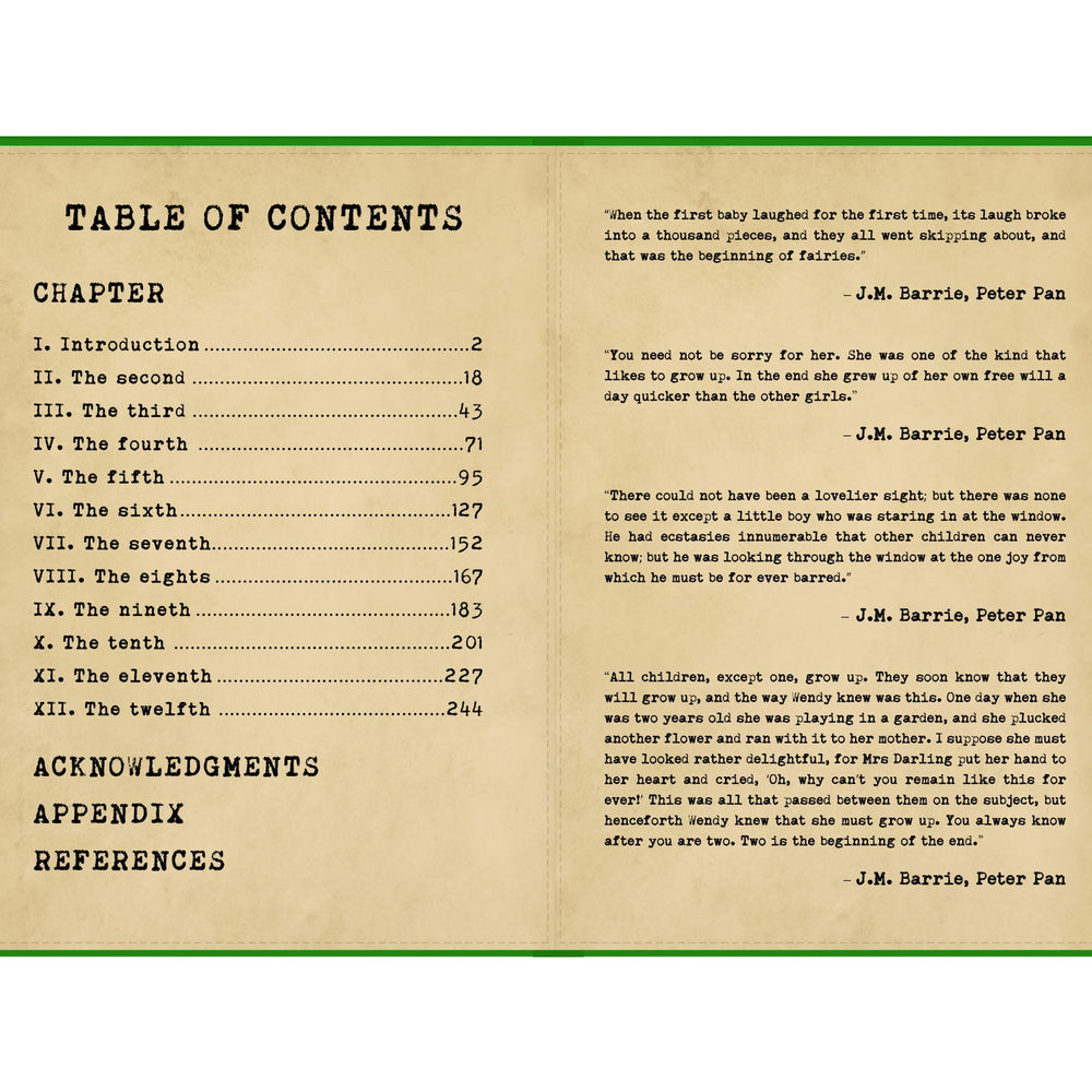 
                      
                        Kindle Colorsoft Case PETER PAN
                      
                    