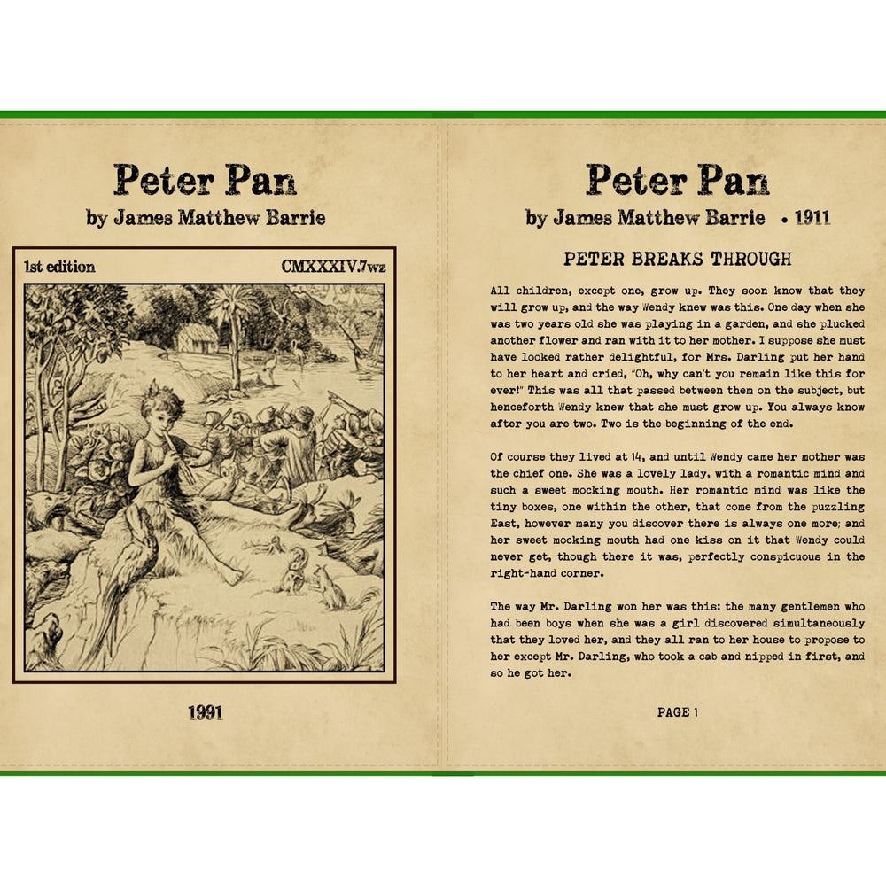 
                      
                        Peter Pan Book iPad Case
                      
                    