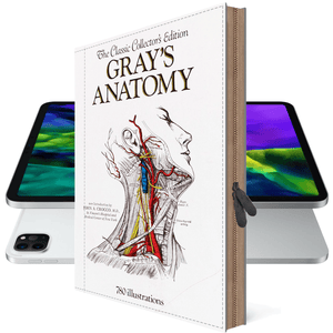 
                  
                    Galaxy TAB S9 FE Plus Case TAB S9 Ultra Gray's Anatomy
                  
                