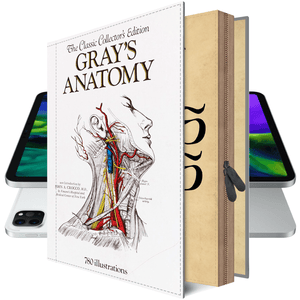
                  
                    Galaxy TAB S9 FE Plus Case TAB S9 Ultra Gray's Anatomy
                  
                