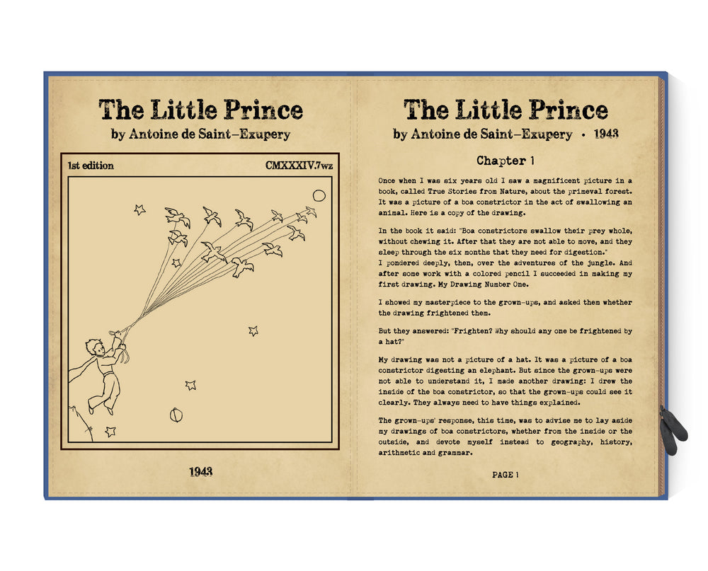 
                  
                    THE LITTLE PRINCE Nintendo Switch Case
                  
                