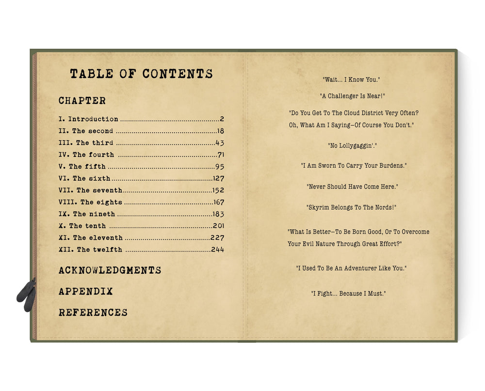 SKYRIM DESTRUCTION Nintendo Switch Case – CASELIBRARY