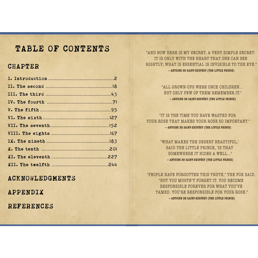 
                      
                        DER KLEINE PRINZ iPad-Hülle
                      
                    